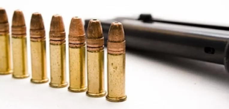 Transport ilegal de 40.000 de cartuse calibrul 12 provenind din Italia