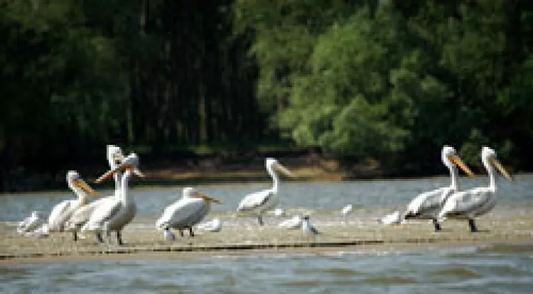 "Turism durabil in zone naturale protejate”, la Tulcea