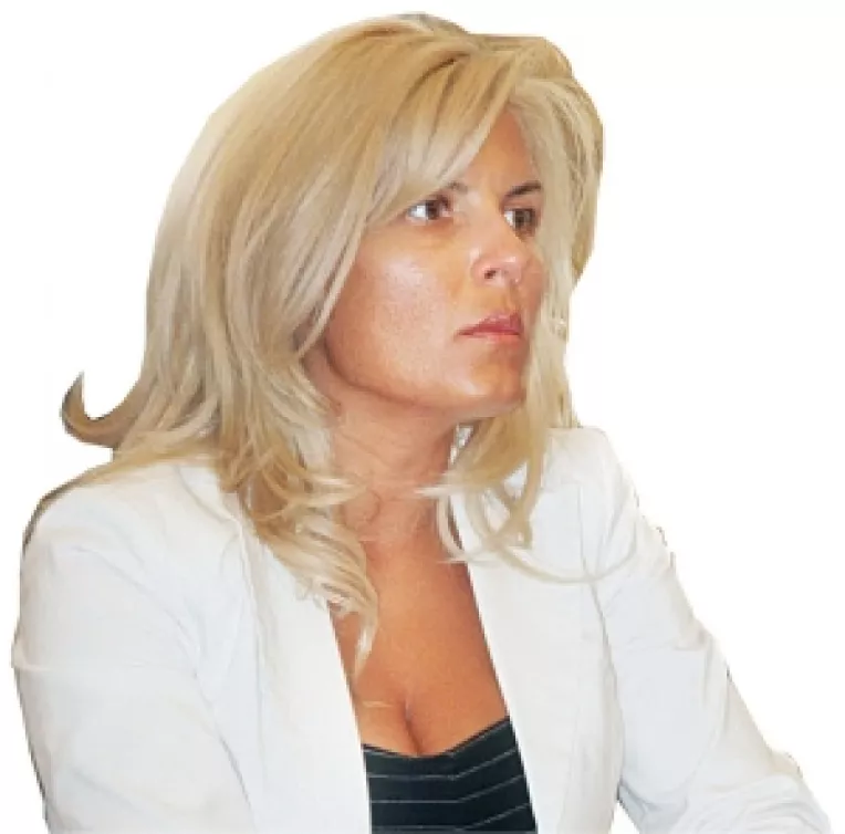 Udrea: "Geoana si Hrebenciuc  au ajuns la o varsta cand oamenii nu-si dau seama ca anumite exprimari ii fac sa para penibili"