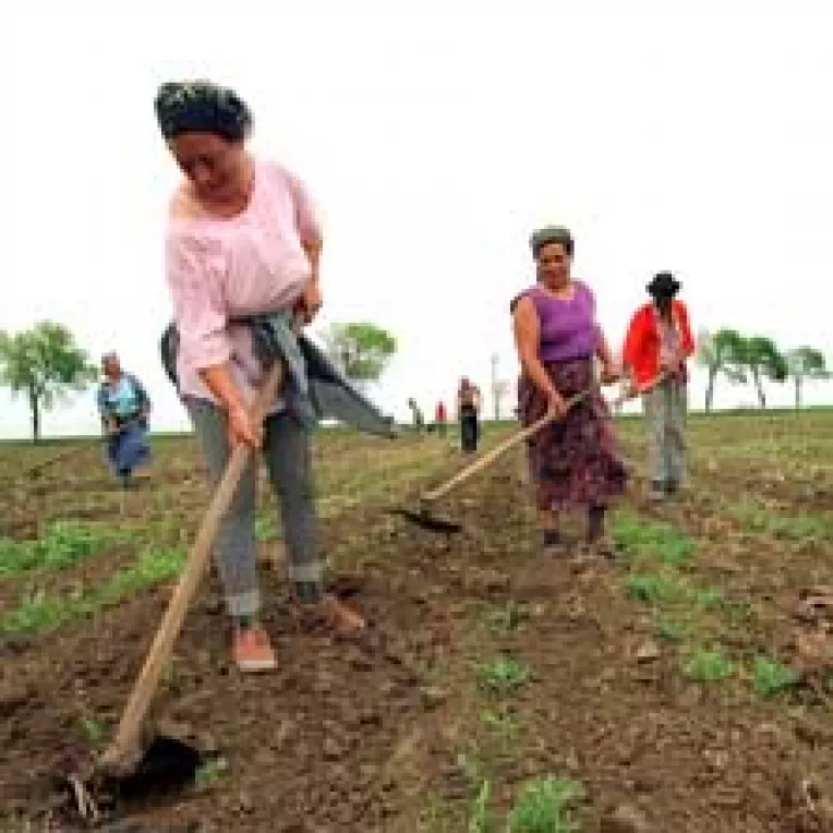 UE ne da bani pentru promovarea produselor agricole