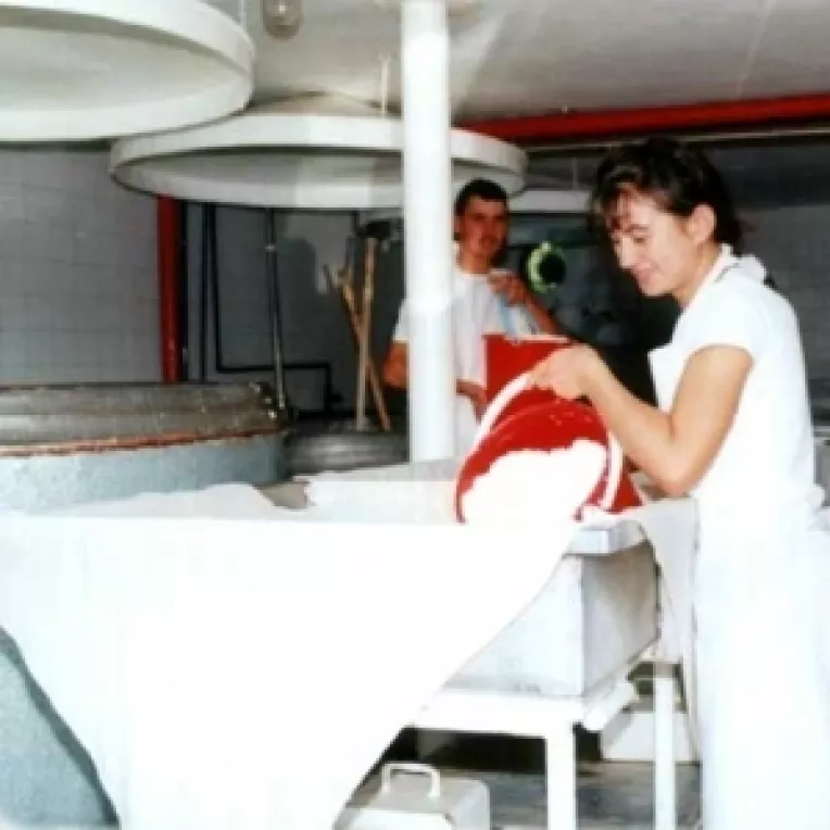 UE vrea sa majoreze cota de lapte alocata statelor membre