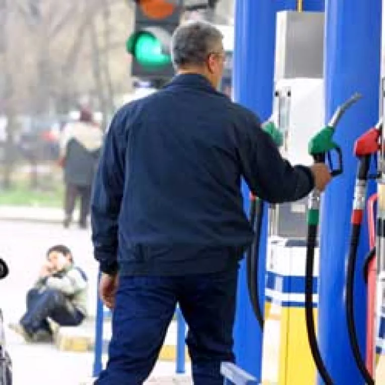 Uleiul de microalge, de 60 de ori mai productiv decat cel de rapita