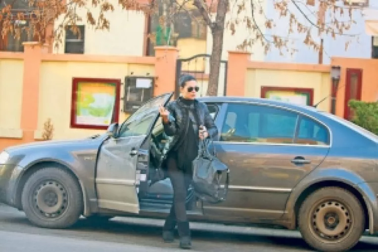 Un portret nu tocmai onorabil al sotiei lui Sergiu Nicolaescu