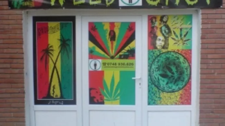 Un tanar din Iasi care a consumat substante etnobotanice a atacat oamenii pe strada