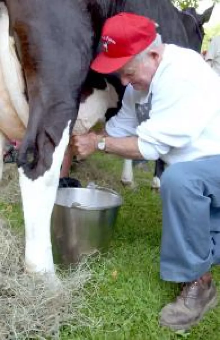 Unii fermieri au renuntat la cota de lapte
