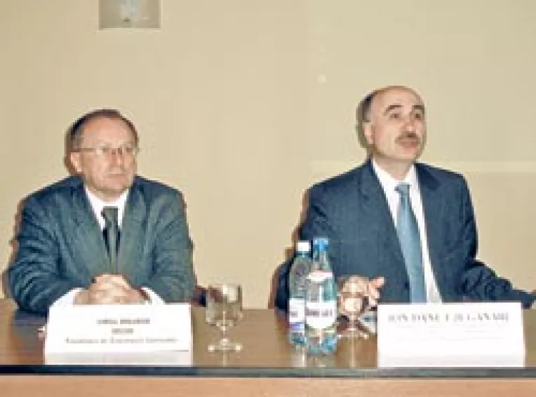 Verificari la materialele de constructii din import