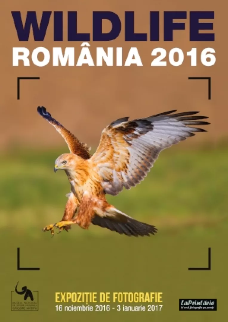 Vernisajul expozitiei de fotografie Wildlife 2016, la Muzeul National de Istorie Naturala Grigore Antipa