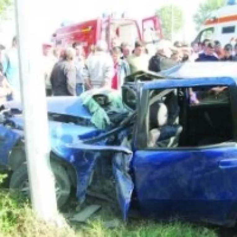 Vitezoman fara permis