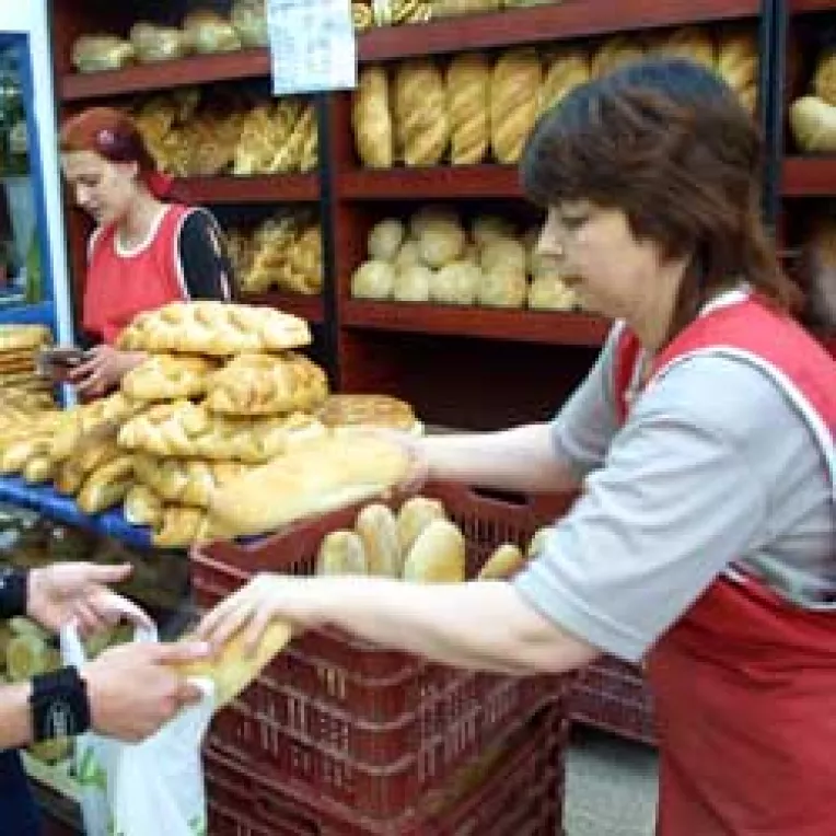 Vom cumpara painea cu 2,5 lei in 2007