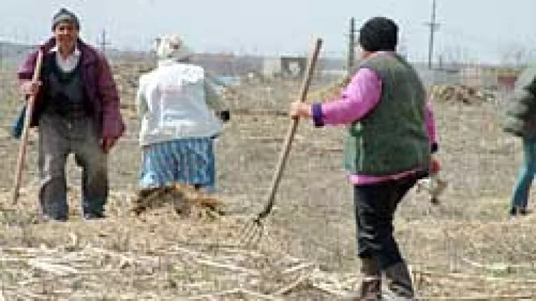 Vosganian discuta politicile fiscale si bugetare