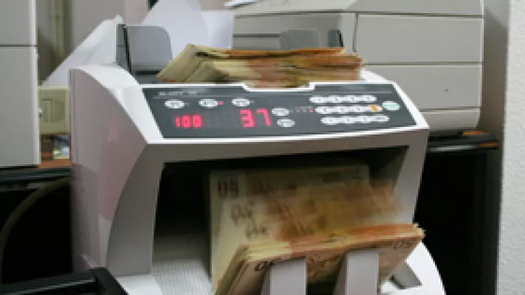 Vosganian: Romania ar putea adopta moneda euro de la 1 ianuarie 2014